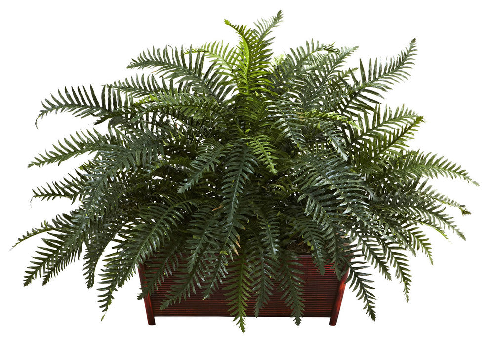 River Fern With Wood Planter, Green