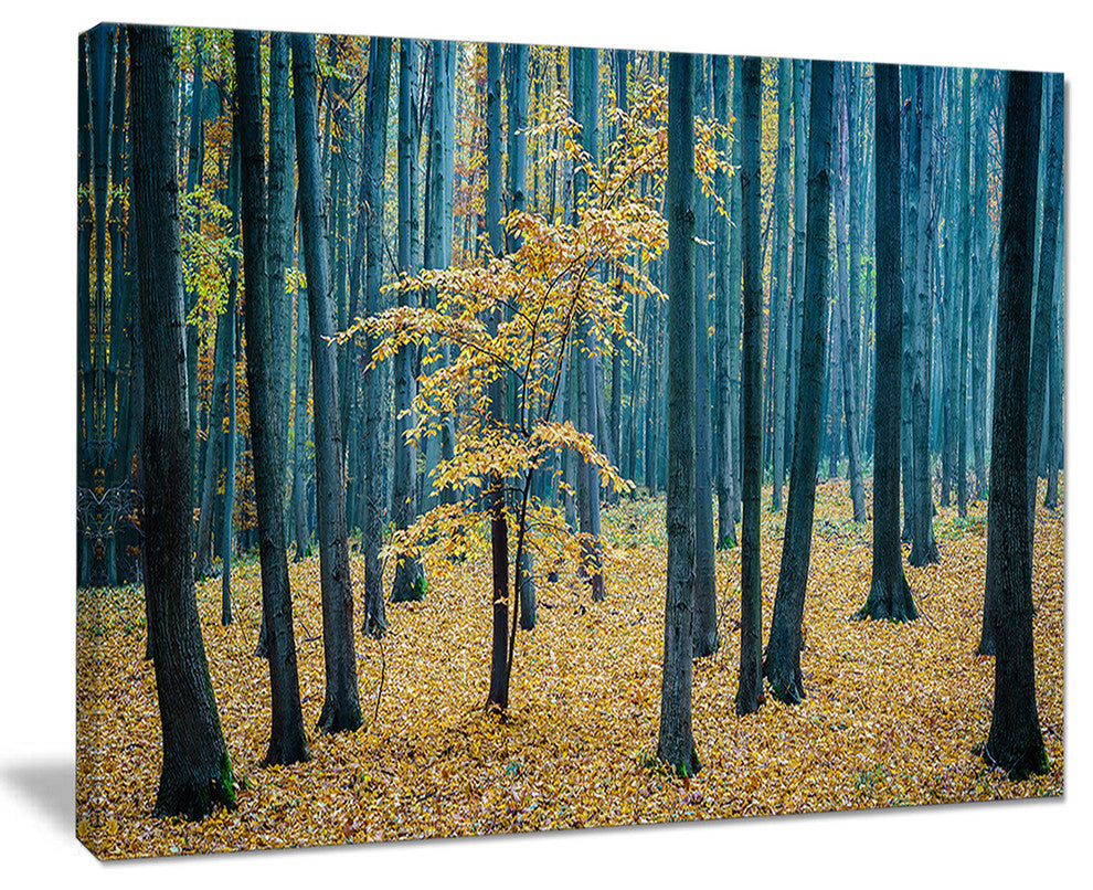 "Dense Autumn Beach Forest" Oversized Forest Canvas Artwork, 40"x30"