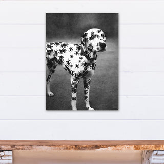 Spider Dalmatian Print on Canvas