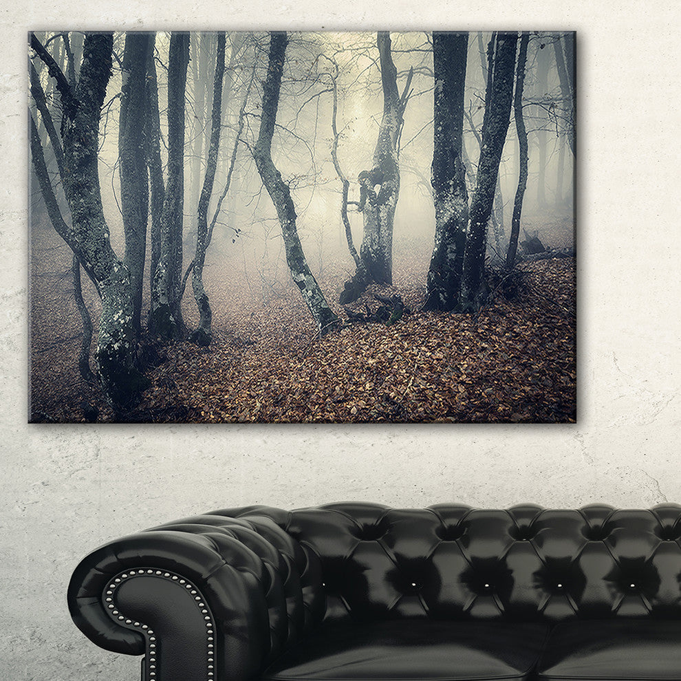 "Mystical Yellow Fog in Fall Forest" Photograph Print