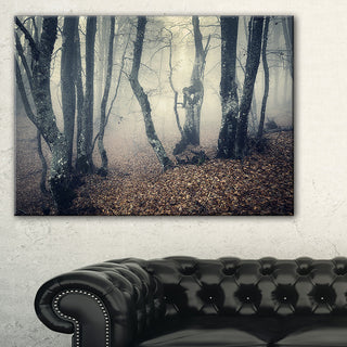 "Mystical Yellow Fog in Fall Forest" Photograph Print