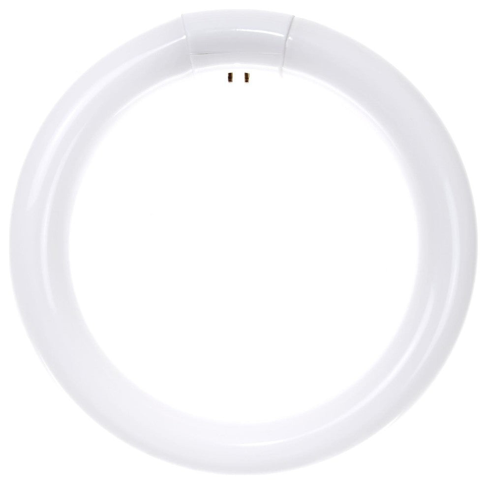 Sunlite 30 Watt T9 Circline, 4-Pin Base, Super White