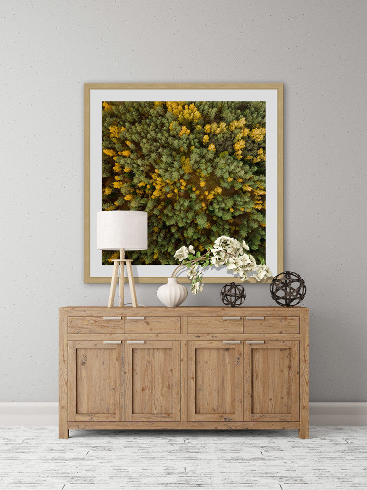 "Yellow and Green Trees" Framed Print by Karolis Janulis