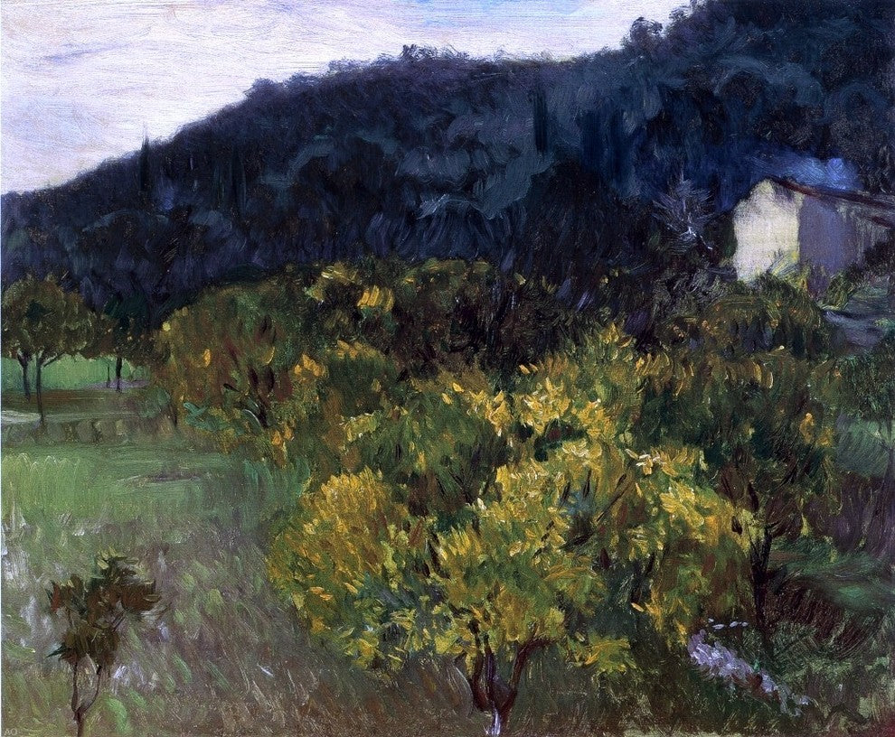 John Singer Sargent Landscape near Grasse Wall Decal