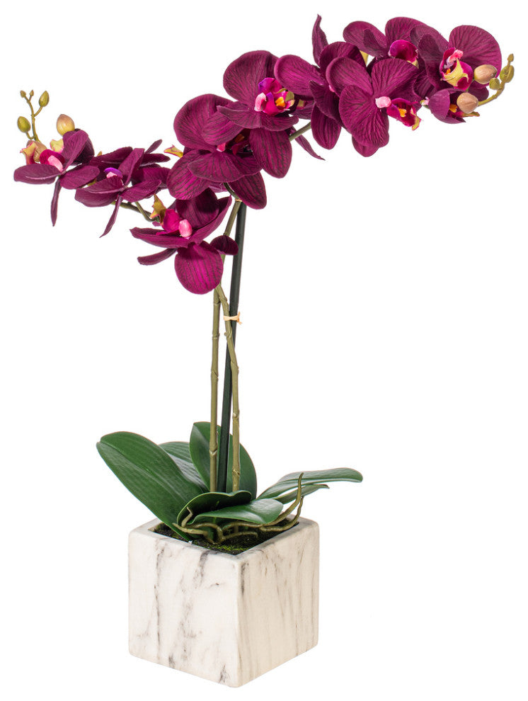 Vickerman 22" Phalaenopsis In Pot, Dark Purple
