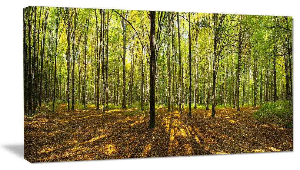 Green Autumn Forest Panorama, Landscape Canvas Art Print, 32"x16"