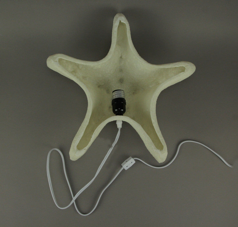White Sandstone Finish Starfish Coastal Art Accent Lamp 16 inch