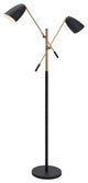 Black and Gold Adjustable Floor Lamp