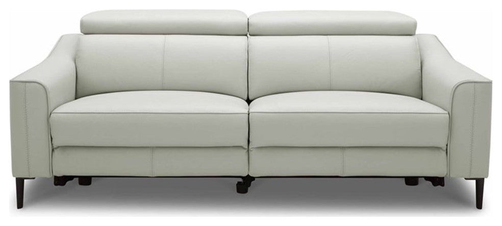 Divani Casa Eden Modern Metal and Leather Upholstered Sofa in Gray