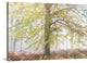 "Autumns Glory" Wrapped Canvas Art Print, 36"x24"x1.5"
