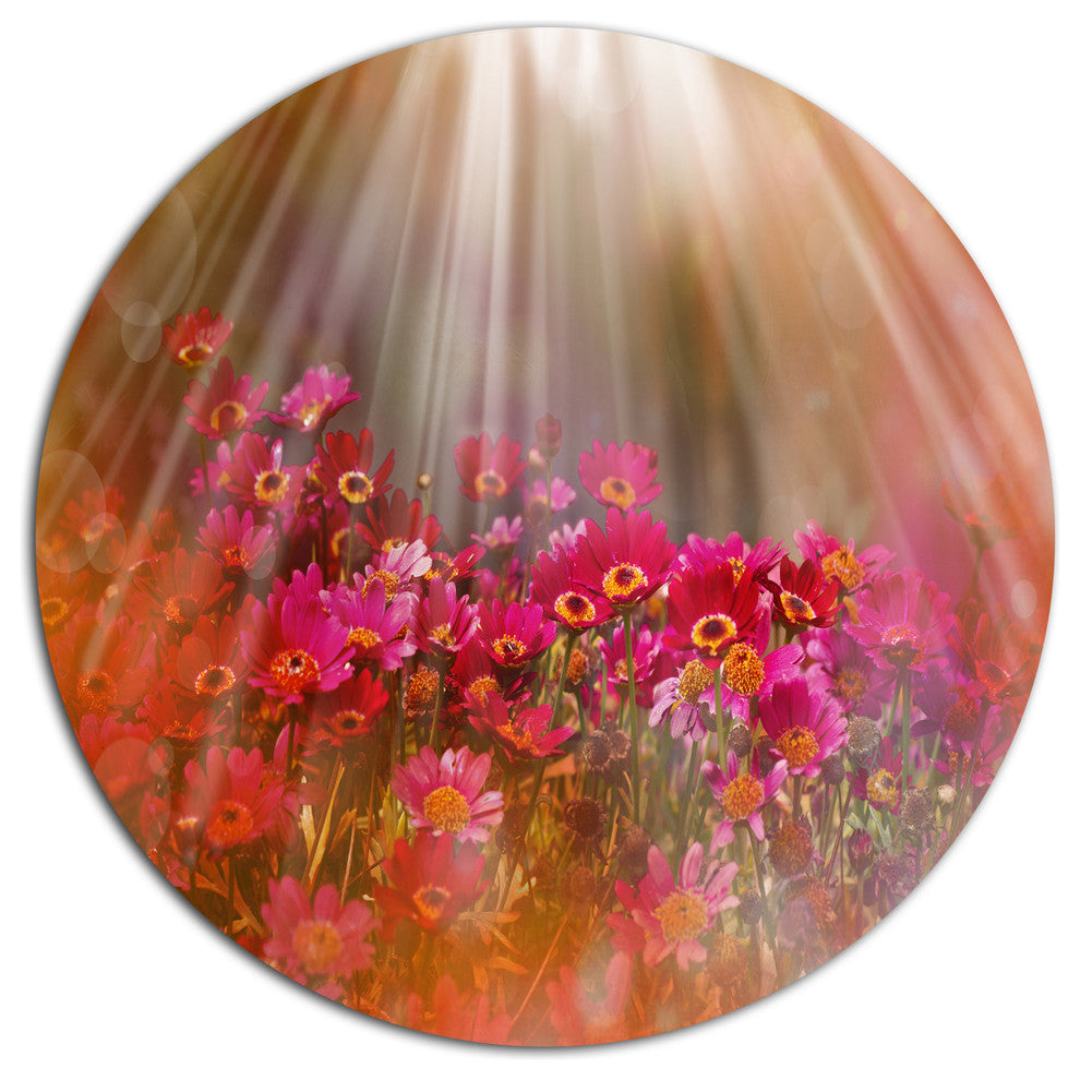Sunlight Over Small Red Flowers, Floral Round Wall Art, 11"