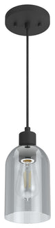 Hunter Lochemeade Natural Iron 1-Light Pendant Ceiling Light Fixture