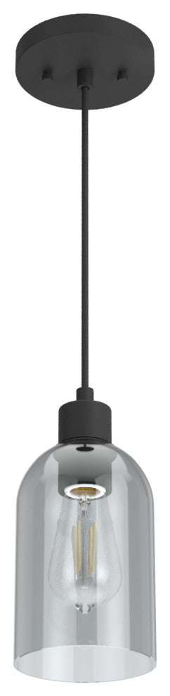 Hunter Lochemeade Natural Iron 1-Light Pendant Ceiling Light Fixture