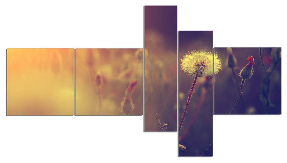 Vintage Photo Of Dandelion Field, Floral Canvas Print, 60"x32", 5 panels