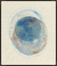 24x28 Mavi Daire II, Framed Artwork, Espresso