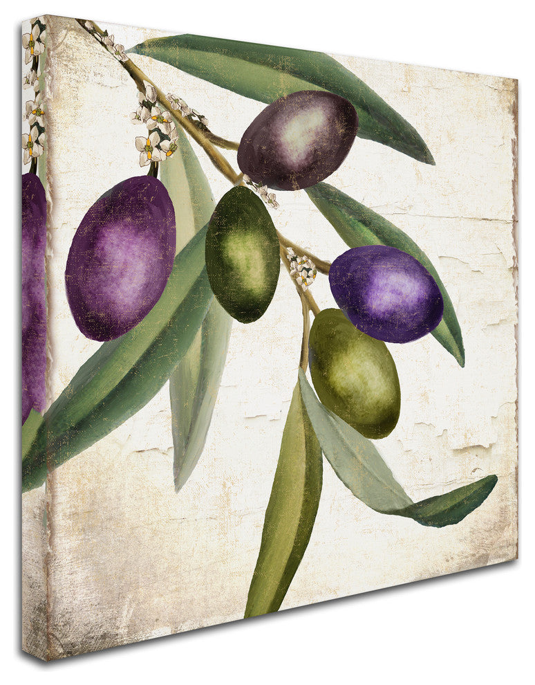 Color Bakery 'Olive Branch I' Canvas Art, 24x24