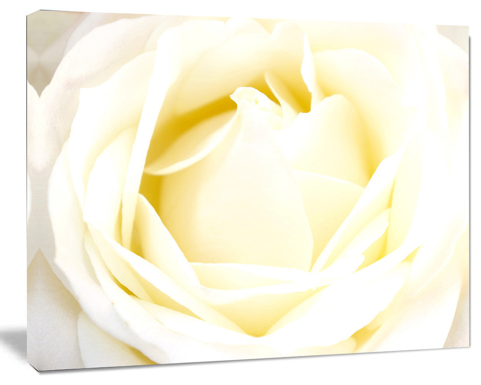 White Rose with Close Up Petals, Floral Canvas Art Print, 40"x30"