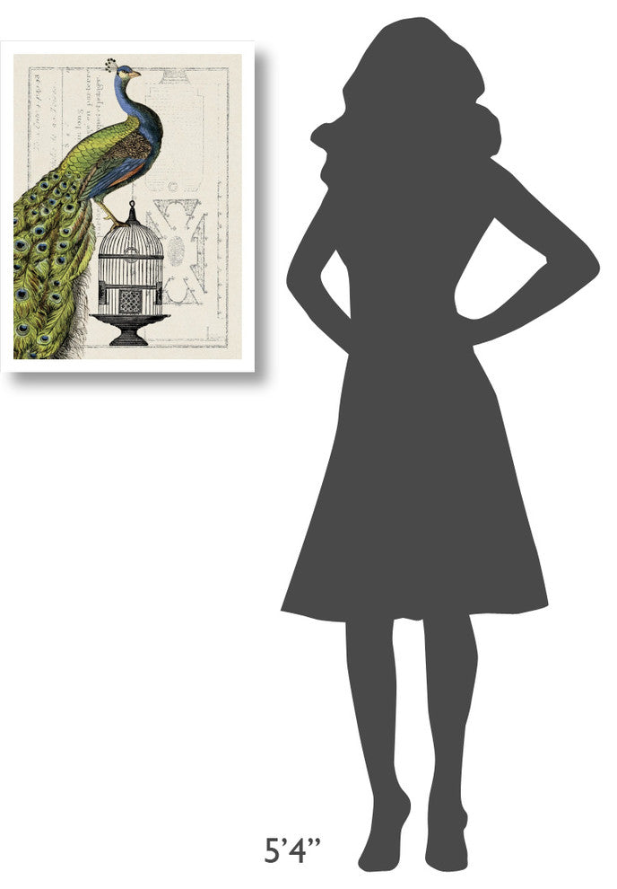 "Peacock Birdcage I" Digital Paper Print by Sue Schlabach, 20"x26"