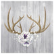 "Antlers and Poppies II Sq" Digital Paper Print by Elyse DeNeige, 42"x42"