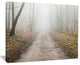 "Straight Forest Road in Fall" Canvas Print, 40"x30"