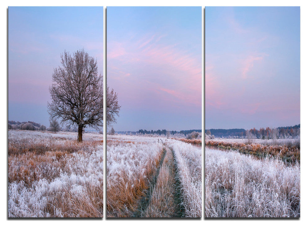 "Dry Oak Tree in Winter Panorama" Metal Wall Art, 3 Panels, 36"x28"