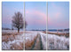 "Dry Oak Tree in Winter Panorama" Metal Wall Art, 3 Panels, 36"x28"