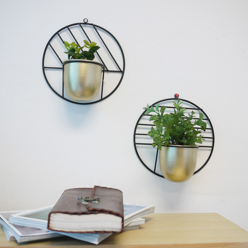 Hanging Planter Vase Wall Decor  Planter, Set of 2