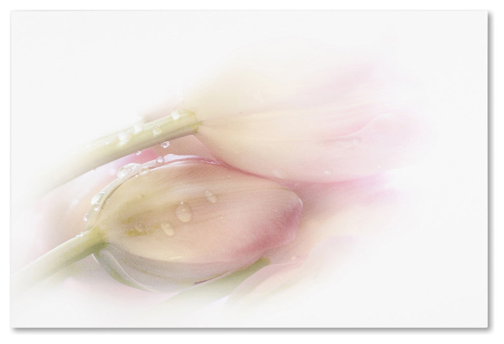 Stefan Eisele ''Touching'' Canvas Art, 30x47