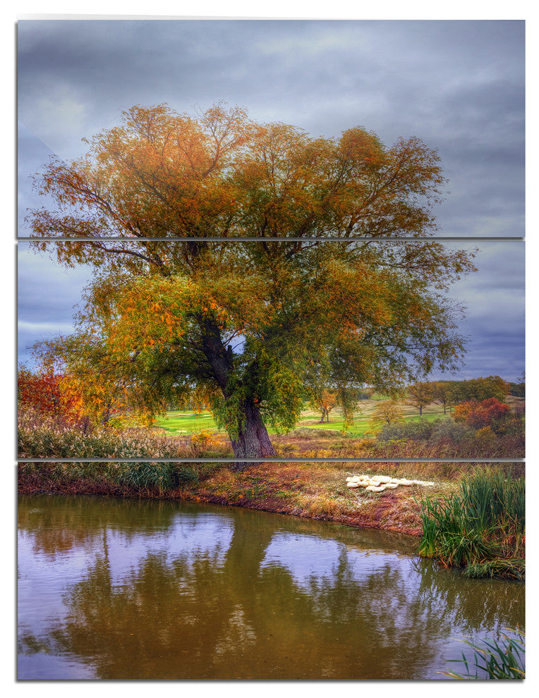 "Willow Near Pond" Photography Metal Wall Art, 3 Panels, 28"x36"