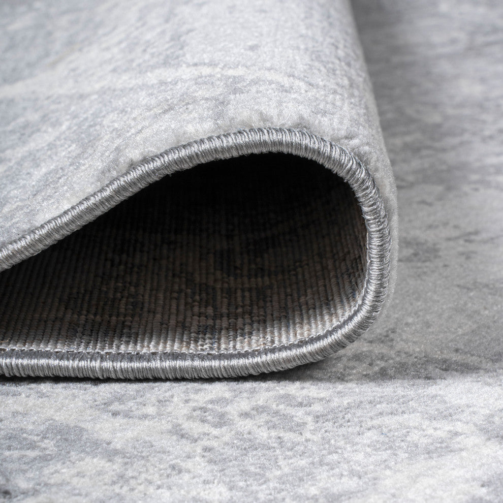 Modern Persian Vintage Medallion Light Gray 3'x5' Area Rug