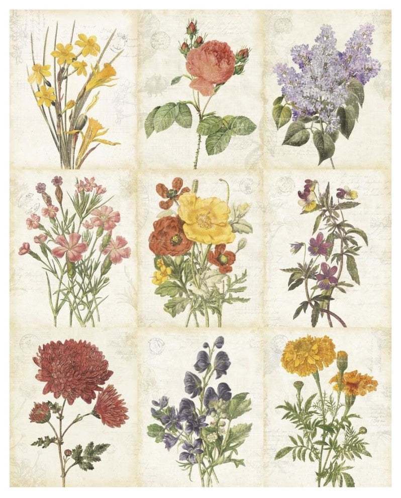 "Flowers of the Month 9 Patch" Digital Paper Print by Katie Pertiet, 18"x22"