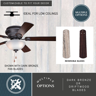 Expo 52" Ceiling Fan, Nobel Bronze