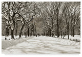 "Poets Walk" by Chris Bliss, Canvas Art, 30"x47"