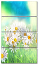 Little White Chamomiles in Garden, Floral Canvas Art Print, 28"x48", 4 Panels