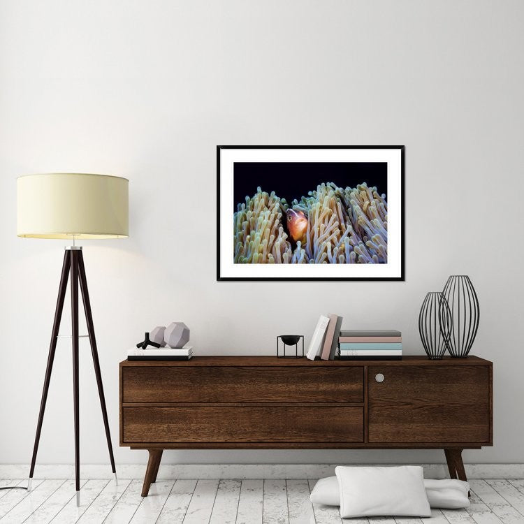 "Clownfish" Framed Digital Print by Barathieu Gabriel, 44x32"