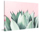 Marmont Hill, "Sweet Succulents" by Morgan Hartley on Wrapped Canvas, 24x16