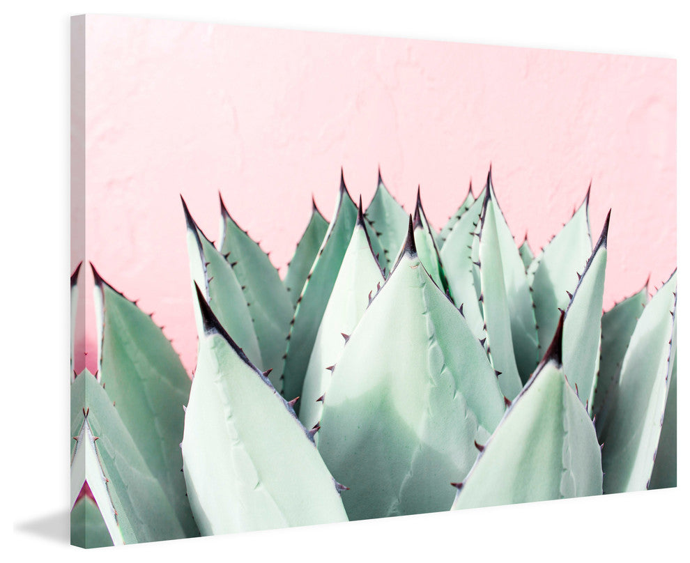 Marmont Hill, "Sweet Succulents" by Morgan Hartley on Wrapped Canvas, 24x16