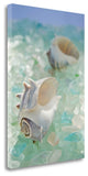 "Crystal Harbor - 1" By Alan Blaustein, Giclee Print on Gallery Wrap Canvas