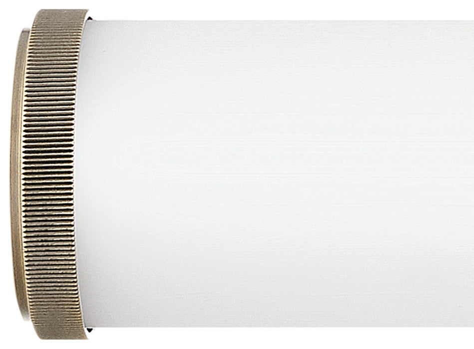 Hinkley Lighting 50082 Femi 22"W LED Smart Bath Bar - Brushed Nickel