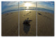 Ready2hangart Christopher Doherty Photography 'Loggerhead ' 3-PC Canvas Art Set