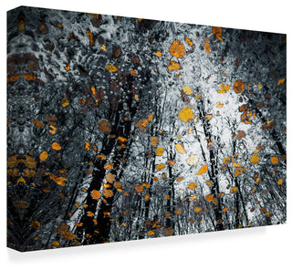 Florentin Vinogradof 'Mysterious Death Of Nature' Canvas Art, 19"x12"