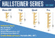Ski Rack - The Hallsteiner Series Horizontal Ski Wall Mount, Bamboo, Trip