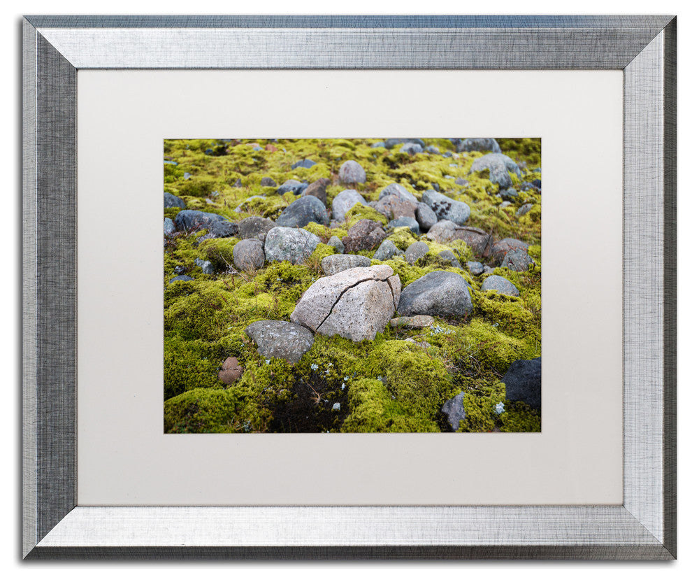Philippe Sainte-Laudy 'Ancestry' Matted Framed Art