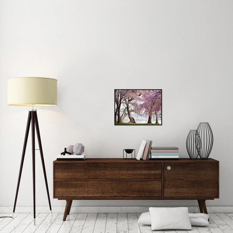 "Cherry trees bloom, Washington, USA" Framed Canvas Giclee by Anonymous, 25x19"