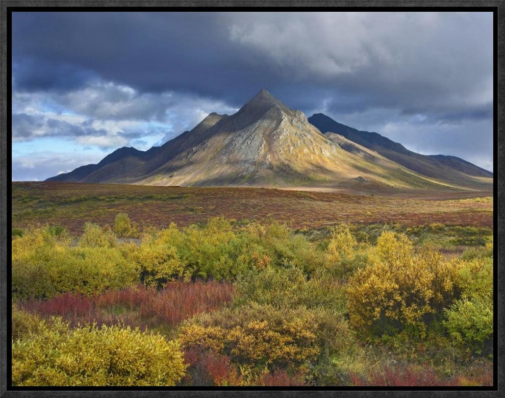 Ogilvie Mountains, Tombstone Territorial Park, Yukon, Canada, 16"x12"
