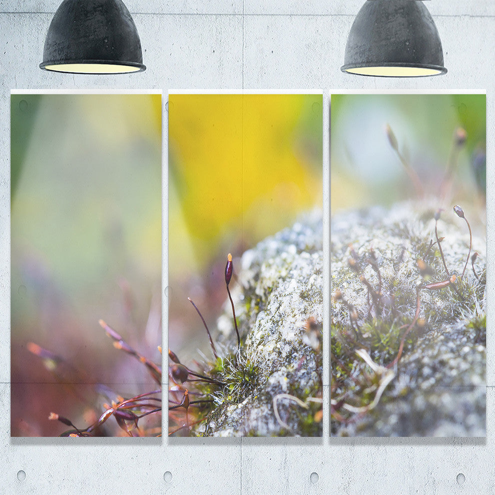 "Abstract Composition of Moss Flowers" Metal Wall Art, 3 Panels, 36"x28"