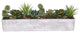 Succulents in rectangular cerement planter