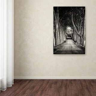 Sandra 'Path' Canvas Art, 16x24