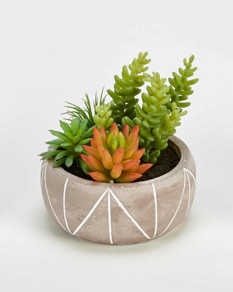 Mixed Artificial Succulents In 5" Pot With Geometric Lines