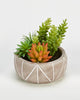 Mixed Artificial Succulents In 5" Pot With Geometric Lines